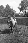 810899 Afbeelding van een jongen te paard in het bos van het Landgoed Amelisweerd op de grens tussen de gemeenten ...